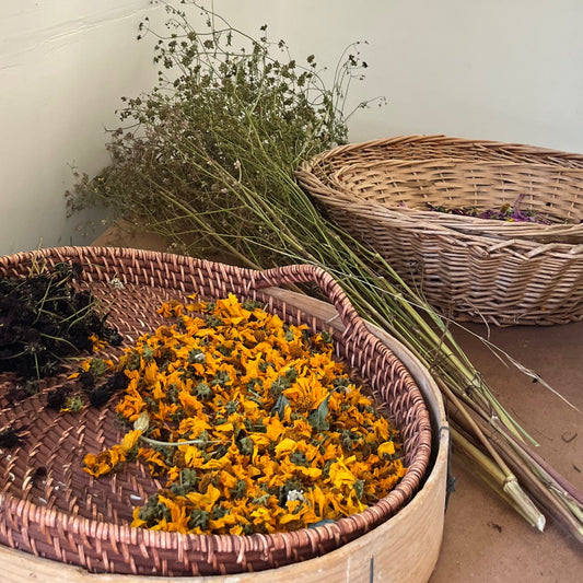 Herbalism for Stress Workshop- June 7th (Online)